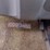 bobcat-v519-image-12