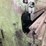 #105-•-175-ton-accur-press-brake-image-25