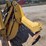 2021-caterpillar-d3-image-45