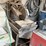 #120-•-rental-tough-brick-and-tile-saw-image-3