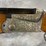 #4872-•-ithica-skb-600-12-ga.-trap-shotgun,-sn:-s5622058-image-28