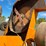 2014-trackless-model-mt6-with-numerous-like-new-attachments-image-57