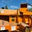 2014-trackless-model-mt6-with-numerous-like-new-attachments-image-62