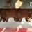 asphalt-zipper-az360-image-8