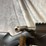 #4853-•-tikka-t1x-sr-17-hmr-bolt-action-rifle,-sn:-am3909-image-13