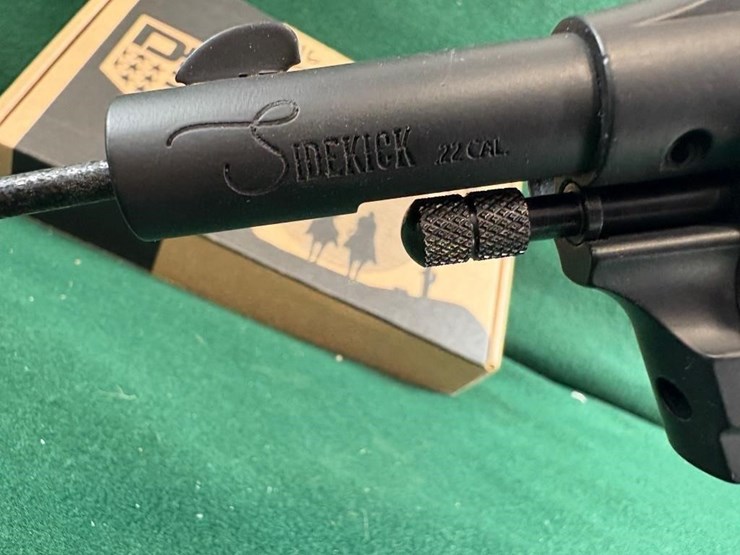 diamondback-sidekick-birdshead-22lr/wmr-image-6