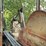 #100-•-ligna-debarker-image-45