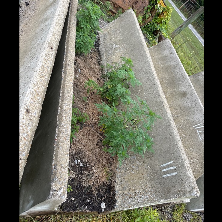#111 • 8ft Concrete J Feed Bunks
