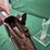 c.-sharps-new-model-1863-carbine-image-23