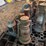 lantern-assortment-image-3