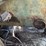 #138-•-hazlethorn-chop-saw-image-24
