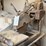 #120-•-rental-tough-brick-and-tile-saw-image-7