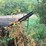 #101-•-debarker-paddle-conveyor-image-5