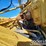 caterpillar-16g-image-27