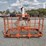2023-snorkel-tb86j-image-2