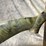 #4854-•-savage-arms-rascal-22-lr-bolt-action-rifle,-sn:-1808782-image-6
