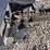 23-bobcat-lt113-trencher-image-6