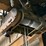 #114-•-detroit-5-ton-bridge-crane-image-9