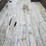 #29441-•-big-tex-10pi-18'-t/a-steel-utility-trailer-image-5