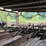 #100-•-ligna-debarker-image-4