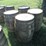 #29416-•-lot-of-(4)-whiskey-barrels-image-1