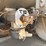 2003-freightliner-business-class-m2-spreader-truck-image-21