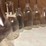 (15)-dairy-bottles-image-2