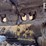 1997-deere-750c-image-24