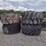 (4)-goodyear-67x34.00-wheel-loader-tires-image-1