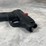 #4802-•-ruger-lcp-380-auto-pistol,-sn:-372639005-image-4