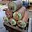 #138-•-rolls-image-1