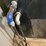 #143-•-sullair-air-dryer-image-2