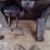 2000-caterpillar-416c-image-7