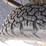 #504-•-1979-chevrolet-truck-(has-nm-title)-(located-in-elephant-butte)-image-6