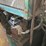 #104-•-tyrone-berry-carriage-drive-and-feed-image-18