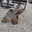 tag-coupler-image-1