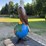 case-eagle-statue-image-3