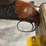 #4866-•-franchi-falconet-20-ga-over-under-shotgun,-sn:-4004516-image-26