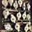 30-ft-dbi-sala-ultra-lock-self-retracting-lifelines-(qty-14)-image-1