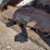 2019-bobcat-t870-image-25