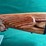 remington-mdl.700-22-250rem-rifle-image-9