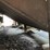 #131-•-belt-conveyor-image-9