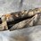 #4860-•-remington-870-super-magnum-12-ga.-pump-action-shotgun,-sn:-cc71272d-image-13
