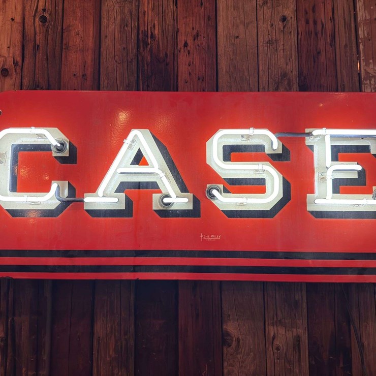 Case Neon