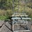 2-ladder-tree-stands-image-1