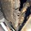 #7017-•-1966-ford-mustang-convertible-(downing,-wi)-(has-wi-title)-image-81
