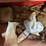 #148-•-steel-workbench-and-contents-image-16
