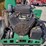 billy-goat-debris-loader-image-9