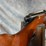 #4861-•-mossberg-new-haven-285ta-20-ga-bolt-action-shotgun,-sn:-nsn-image-7