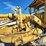 caterpillar-16g-image-23